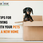 5 tips for moving with your pets to  a new home