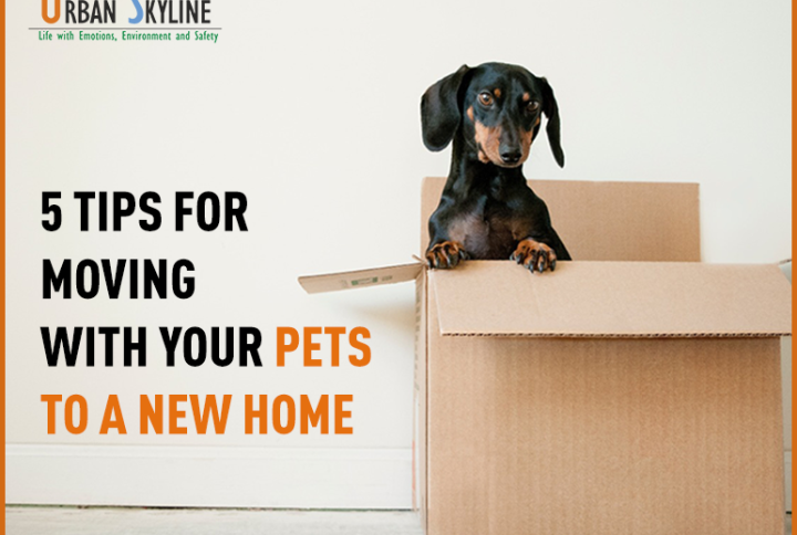 5 tips for moving with your pets to a new home - Urban Skyline - Blog