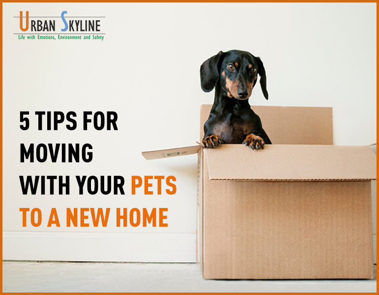 5 tips for moving with your pets to a new home - Urban Skyline - Blog