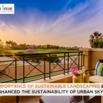 The Importance of Sustainable Landscaping and How it Enhanced the Sustainability of Urban Skyline 