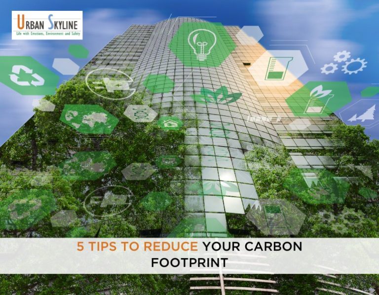 5 Tips to Reduce your Carbon Footprint